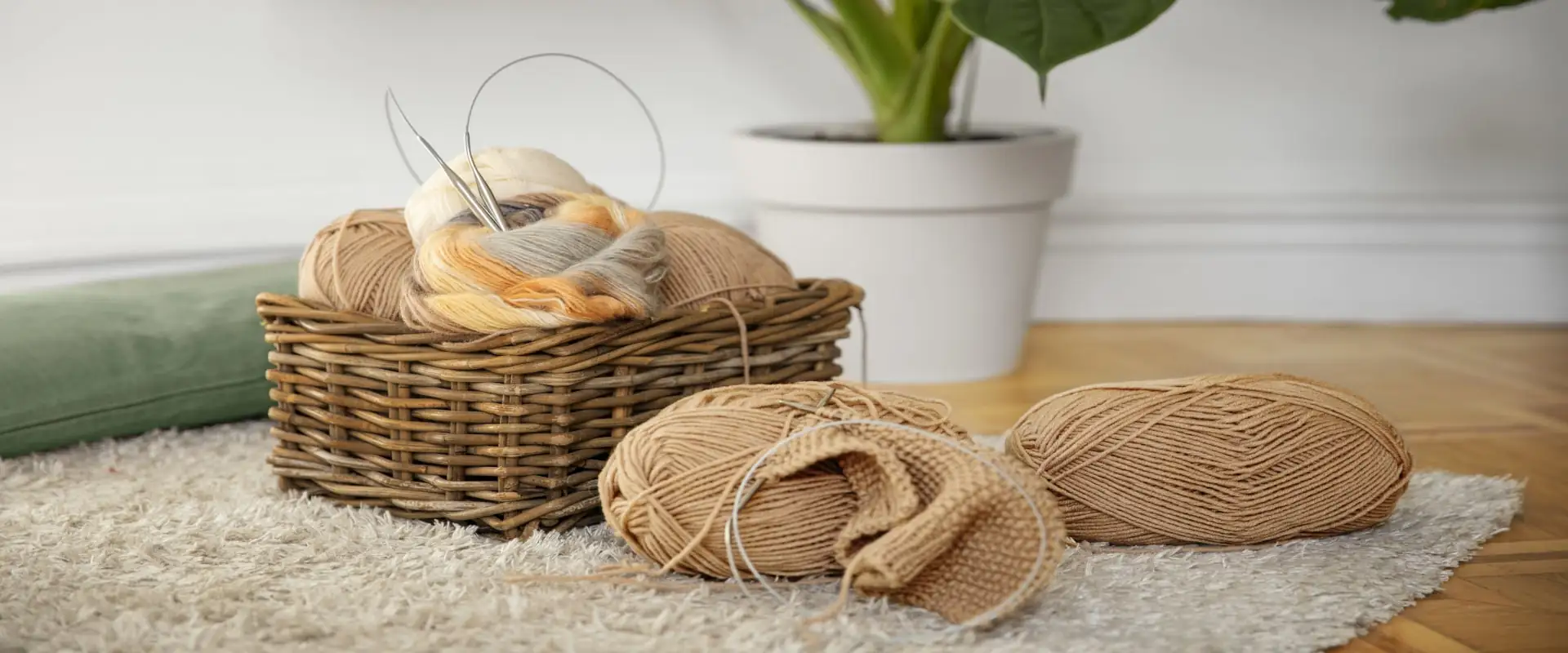 welcome-to-ridhi-sidhi-overseas